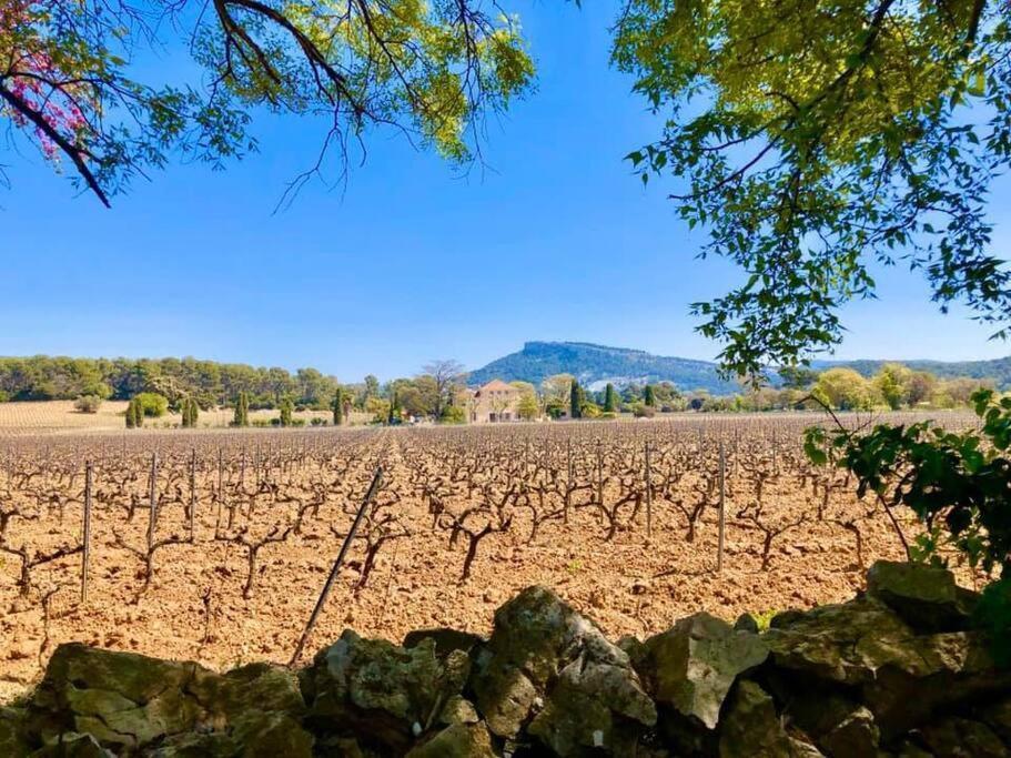 Charmant Studio Au Coeur De Cassis Exteriér fotografie