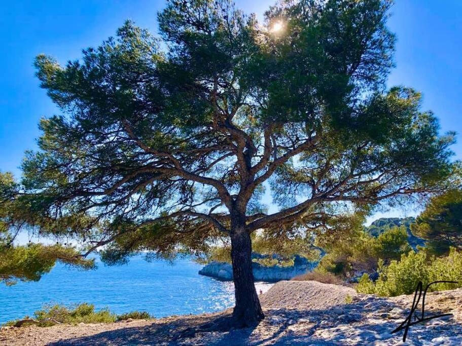 Charmant Studio Au Coeur De Cassis Exteriér fotografie
