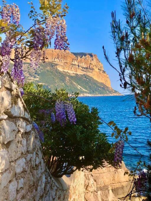Charmant Studio Au Coeur De Cassis Exteriér fotografie